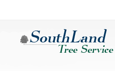 Tree Service Woodstock